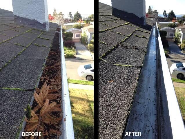 Gutter before and after P&Z removed leaf and plant debris