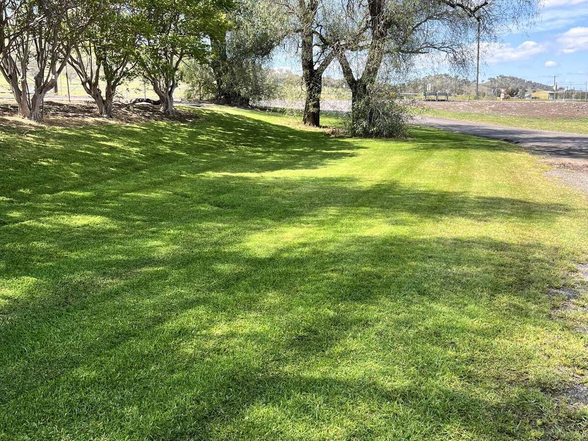 Maintained grassed grounds beneath mature trees