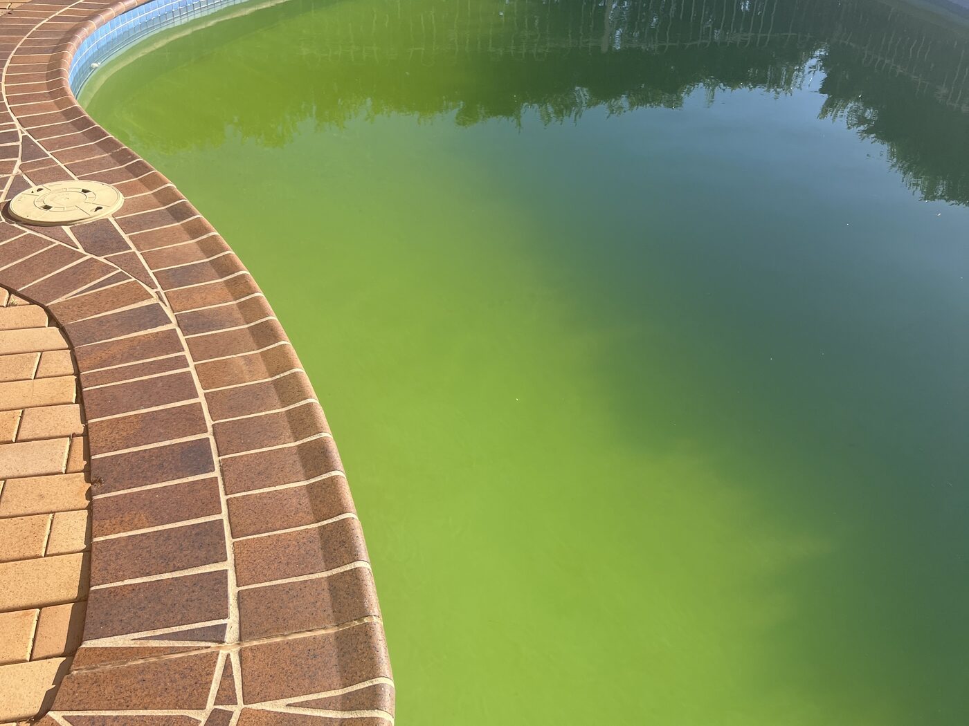 Green swimming pool during an initial recovery assessment